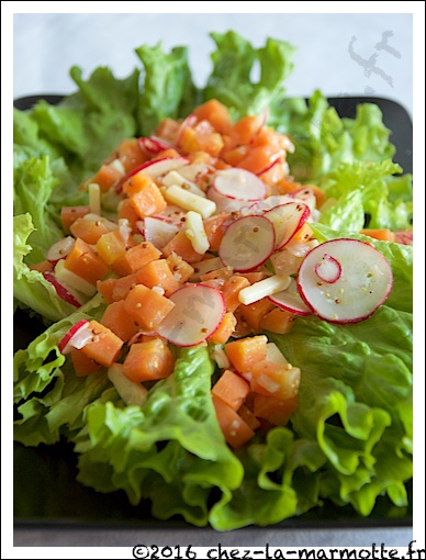 Recette Salade Printanière aux Carottes et Radis